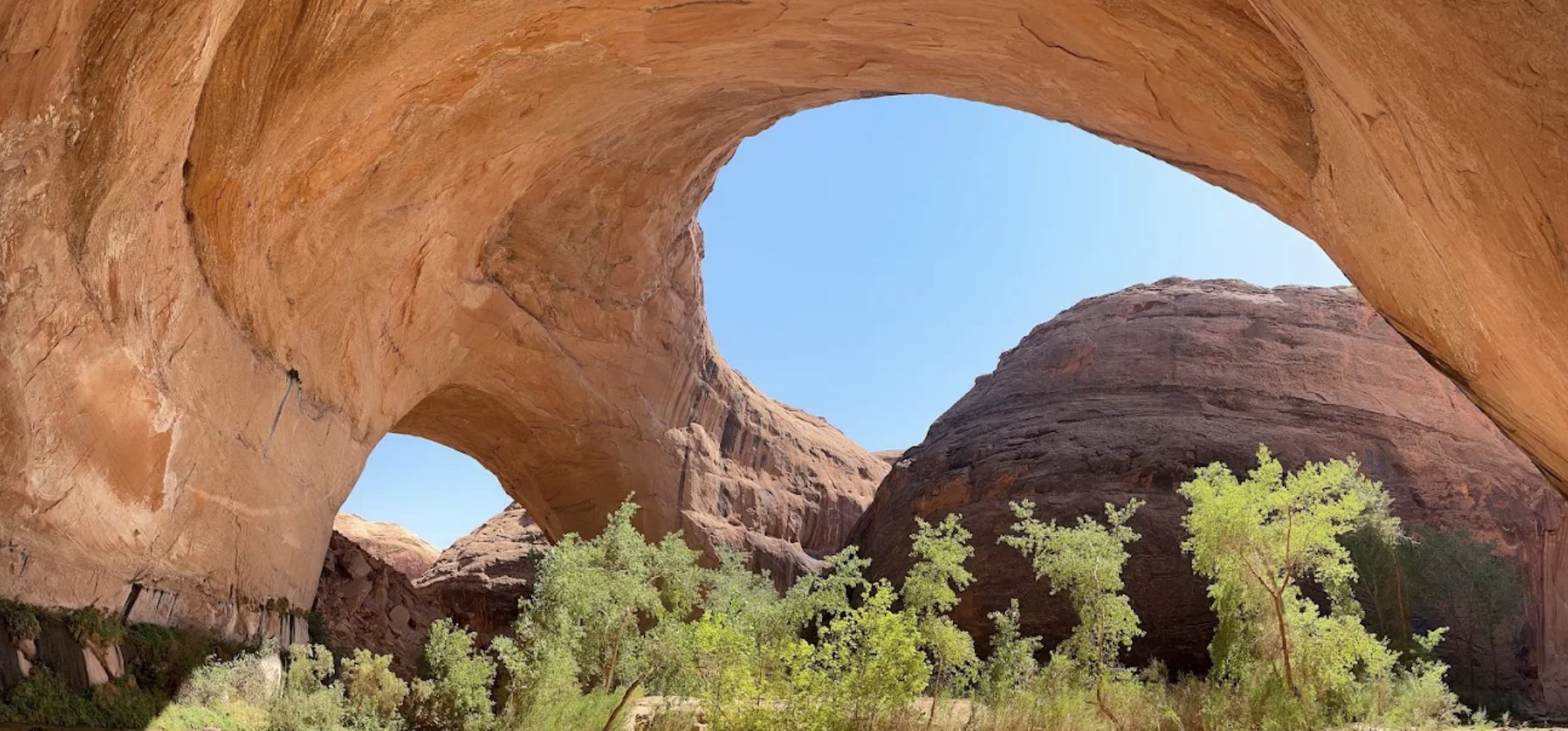 A tall natural arch opening above green cottonwood trees along Coyote Gulch near Escalante