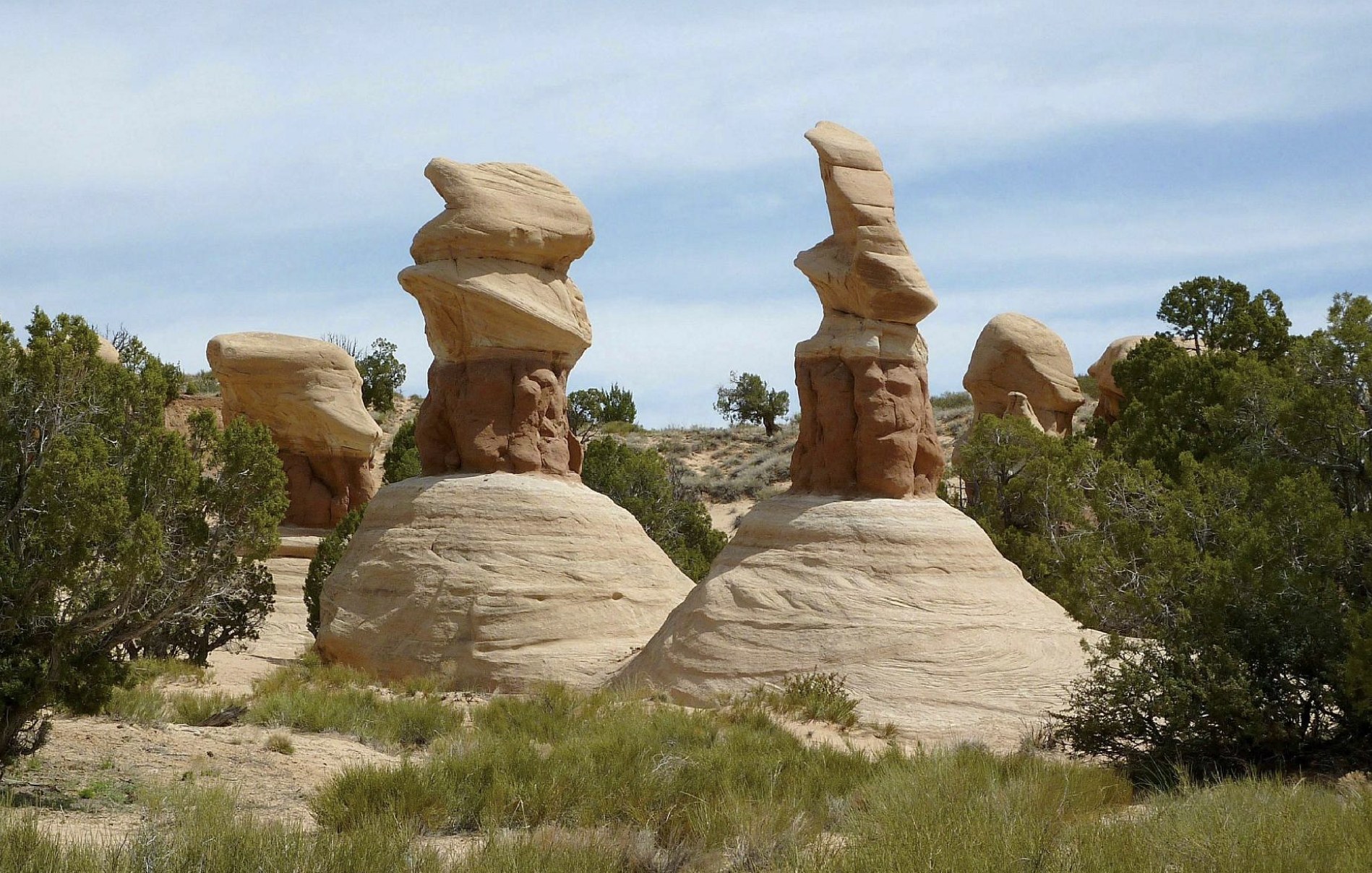 A cluster of mushroom shaped sandstone hoodoos surrounded by junipers at Devils Garden near Escalante
