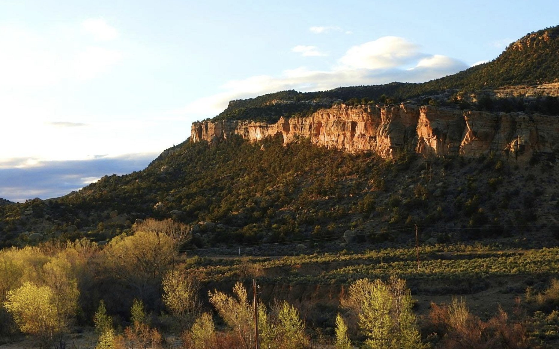 A sandstone cliff face lit by evening sun above cottonwood trees near Escalante