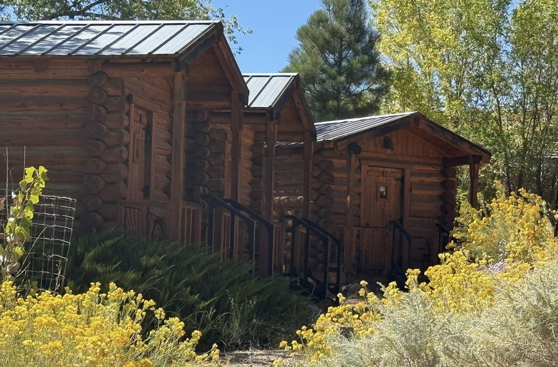 A row of log cabins with metal roofs and blooming rabbitbrush in Escalante Utah